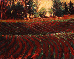 Red Dirt Fields