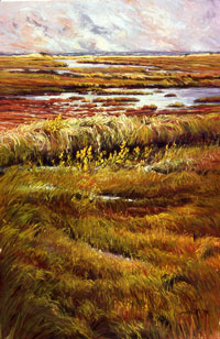 Salt Marsh at Oceanside